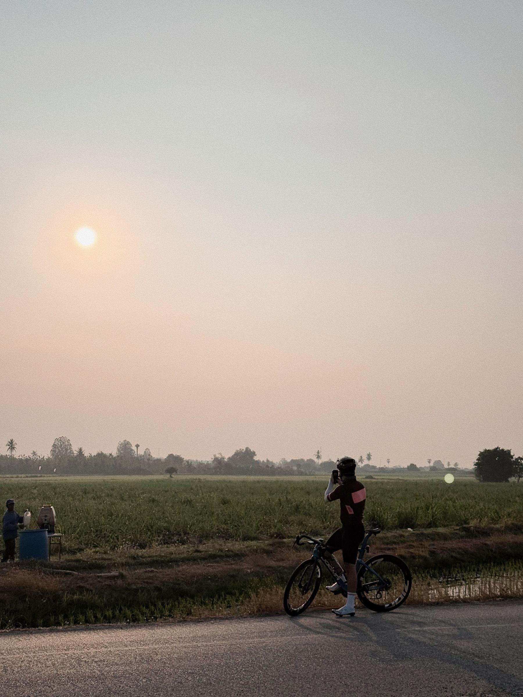 Golden sunrise over rice fields